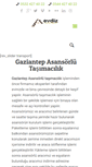 Mobile Screenshot of gaziantepasansorlutasimacilik.net